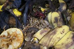 rotten bananas and other food on the ground