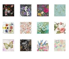 a bunch of different flowers and butterflies on a white background