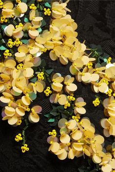 some yellow flowers and green leaves on a black surface