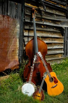 two guitars are sitting in the grass next to a log cabin with an old wooden wall