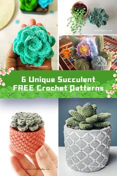 six unique succulent free crochet patterns for potholders and planters