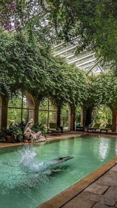 a man diving into a swimming pool surrounded by green plants and trees in the background