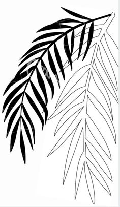 a black and white drawing of a palm tree branch with leaves on the tip of it