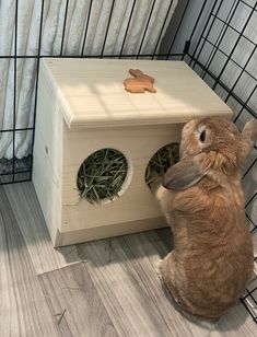 a rabbit sitting on the floor next to a wooden box