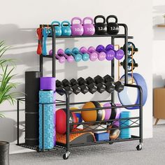 a rack filled with dumbs, kettles and exercise balls in a living room