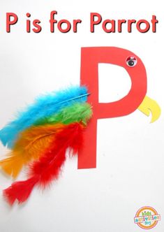 the letter p is for parrot with colorful feathers on it's tail and an orange, yellow, green, and blue feather