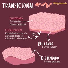 the diagram shows how to use transicinal