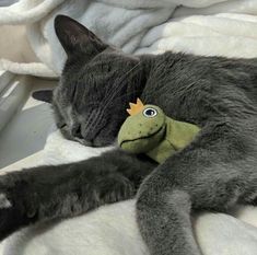 a gray cat laying on top of a white blanket next to a stuffed animal toy