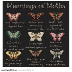 a cross stitch pattern with different moths on it's side and the words meanings of moths