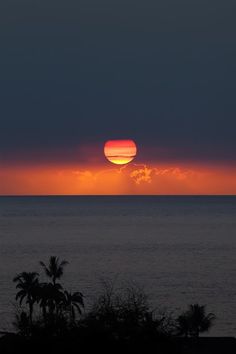 the sun is setting over the ocean with palm trees in foreground and dark clouds