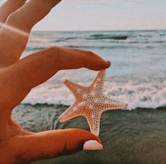 a person holding a starfish in their hand on the beach with waves crashing behind them