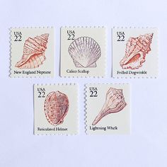 four postage stamps with seashells on them