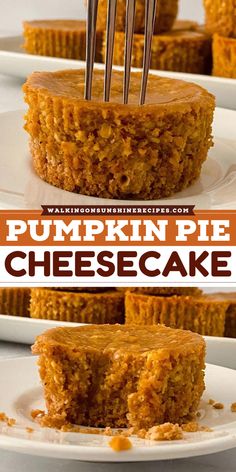 This Thanksgiving dessert idea is so creamy and flavorful! With this simple pumpkin recipe, you combine the taste of cream cheese, pumpkin puree, and graham cracker crust, and you put all that into a mini pie. Give this pumpkin pie cheesecake a try! Mini Pumpkin Pie Cheesecake, Easy Thanksgiving Dessert, Easy Pumpkin Dessert, Crumb Crust, Thanksgiving Sweet Treats, Desserts With Few Ingredients