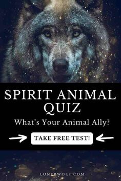 a wolf with the text spirit animal quiz what's your animal ally? take free test