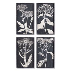 four black and white flower prints mounted on a wall