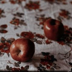 two apples sitting on top of a floral table cloth