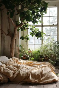 24 Botanical Bedroom Ideas to Decorate with Greenery Botanical Decor Ideas, Cozy Plant Bedroom, Botanical Decor, Garden Bedroom