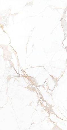 a white marble textured background with gold veining