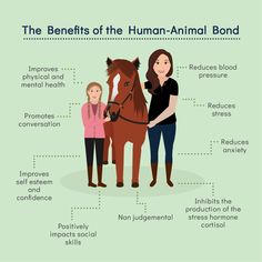 Safe Relationships, Equine Therapy, Horse Tips, Therapy Dogs, Business Plan Template, About Business, Plan Template