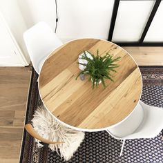 a round wooden table with white chairs and a potted plant on the top shelf