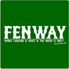 the words fenway are written in white on a green background with black and white lettering