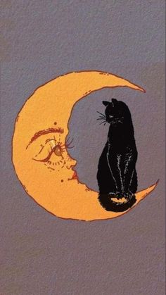 a black cat sitting on top of a half moon