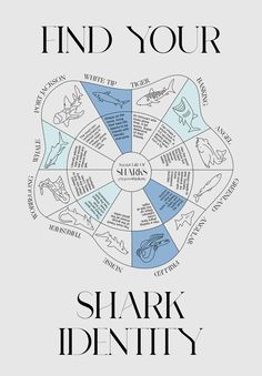 A designed and illustrated personality chart showing twelve species of sharks and their unique features. Different Shark Species, Respect The Locals Shark Wallpaper, Different Kinds Of Sharks, Shark Special Interest, Thresher Shark Drawing, Shark Therian, Shark Phone Wallpaper, Shark Person, Sharks Illustration