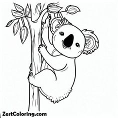 a koala bear hanging from a tree coloring pages for kids to print and color