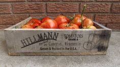 a crate filled with lots of tomatoes sitting on top of a cement floor next to a brick wall