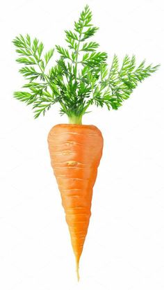 an orange carrot with green leaves on it's top is shown in front of a white background