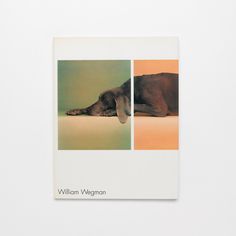 a book with an image of a dog laying on the floor and another photo of a dog lying down