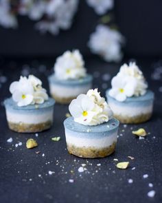 small desserts with white flowers on top of them