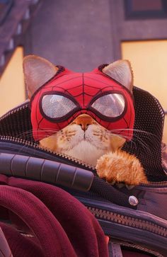 a cat wearing a spiderman mask sitting in a suitcase with its eyes closed and it's head sticking out