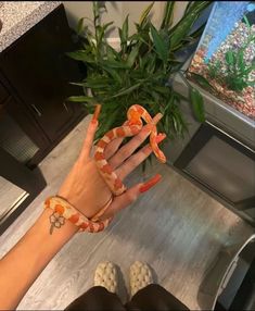 a woman's hand with an orange and white snake wrapped around her wrist, next to a fish tank