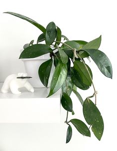 a potted plant sitting on top of a white shelf next to a cat figurine