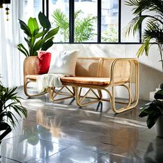 a living room filled with lots of plants next to a window and two wicker chairs