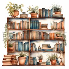 a watercolor painting of bookshelves with plants and potted plants on them