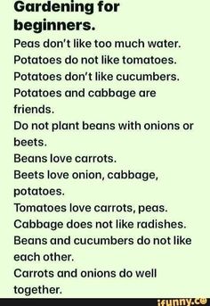 a sign that says gardening for beginners peas don't like to much water potatoes don't like cucumbers potatoes and cabbage are