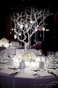 the centerpieces on this table are decorated with white flowers and branches, which stand out from the rest of the tables