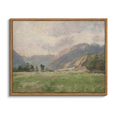 an oil painting on canvas of mountains and grass in the foreground, with a wooden frame