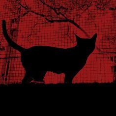 a black cat is standing in front of a red fence and tree with no leaves