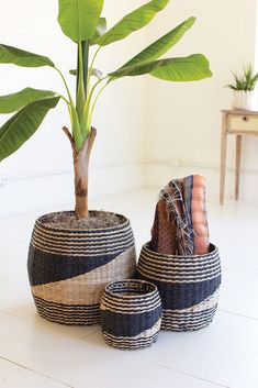 three baskets with plants in them sitting on the floor