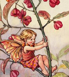 Mini Flowers, Unicorns And Mermaids, Hawaiian Art, Cicely Mary Barker, Fairy Artwork, Baby Flower