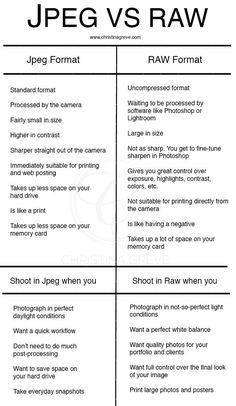 the differences between jpegs and raw formats are shown in this graphic diagram