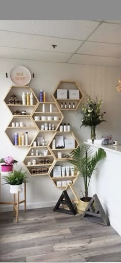 the inside of a salon with shelves and plants