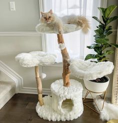 a cat sitting on top of a tree in a living room next to a potted plant