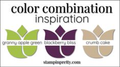 the color combination for this logo is green, blackberry, crumb cake and purple