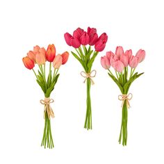 three bouquets of tulips tied with twine