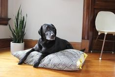 a large black dog laying on top of a pillow in the middle of a room