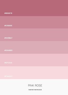 the pink rose color scheme is shown in three different shades